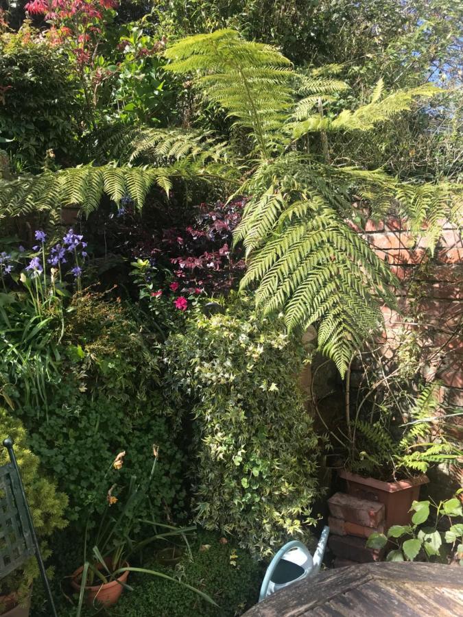 1920`s house. Private en suite sitting room . Dog friendly Teignmouth Eksteriør bilde