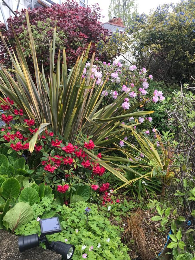 1920`s house. Private en suite sitting room . Dog friendly Teignmouth Eksteriør bilde